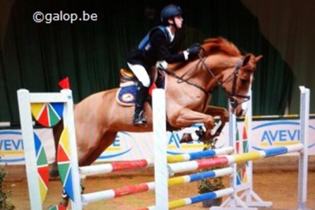 Nationale ponyindoor LRV:   stijspringkampioenen 2013 bekend