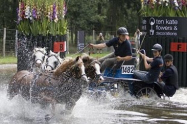 Nationale ponymenners welkom in Beekbergen