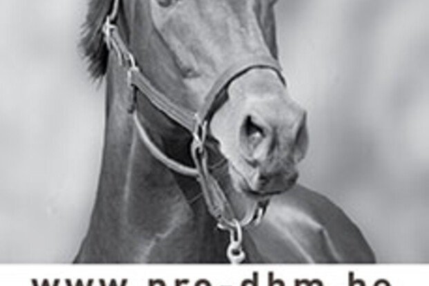 WAAROM PRO PLUS van Lannoo Martens-Horsemix VOEDEREN ?