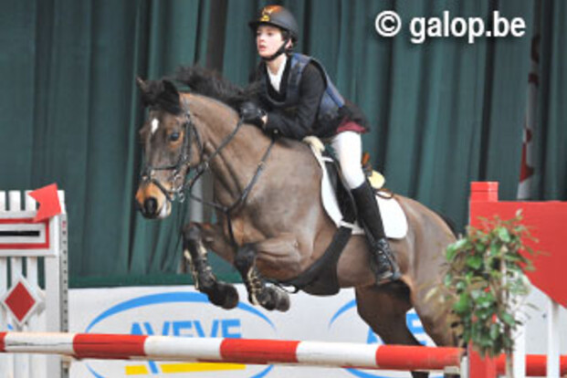Verwimp en Bouts winnen ponykampioenschap D-Midden in Limbug
