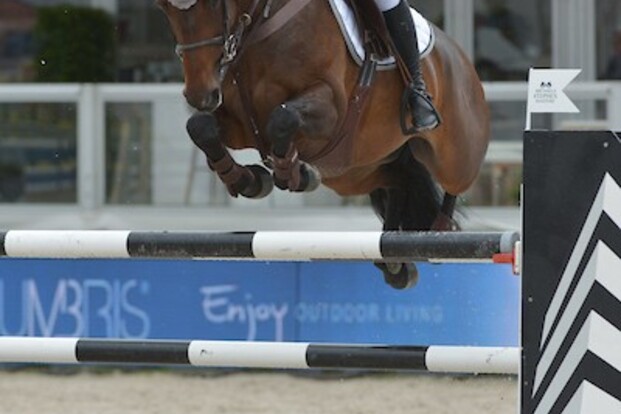 CSI4* Abu Dhabi: June Peeters in de prijzen