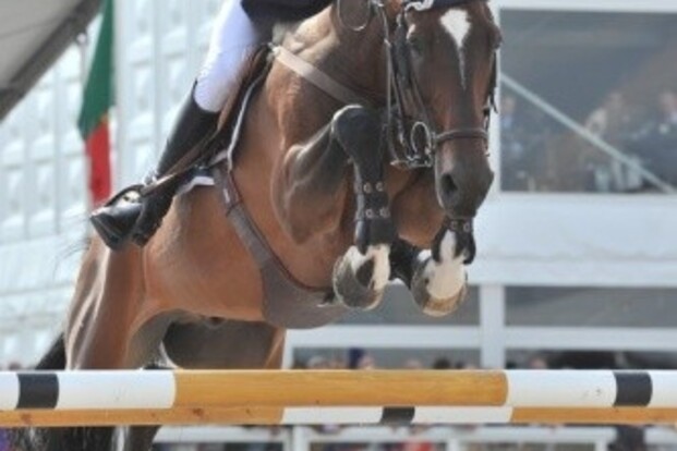 Joe Clee wint GP De Warre