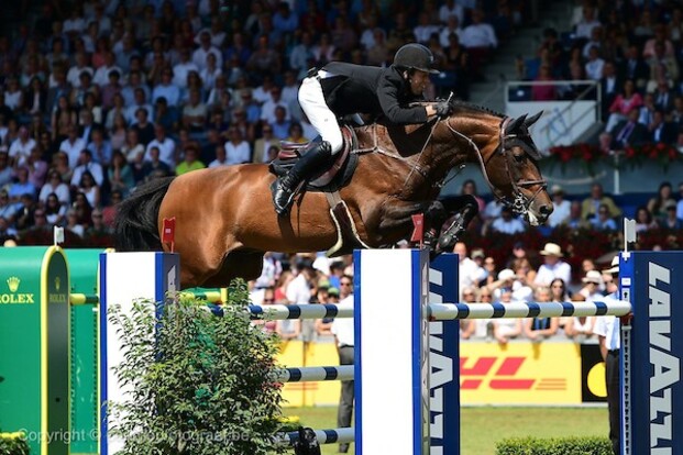 Verdi TN is Paard van het jaar in Nederland!