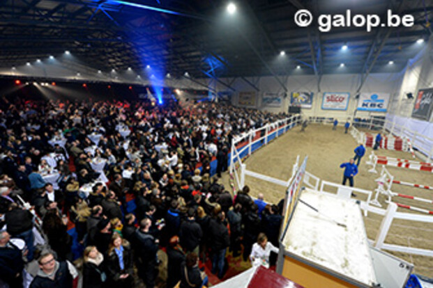 44000 euro voor Cumano op Horse Auction Belgium