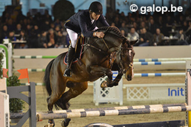 Hengstencompetitie WEN: Okidoki vh Gelutt Z en Hunters Scendro