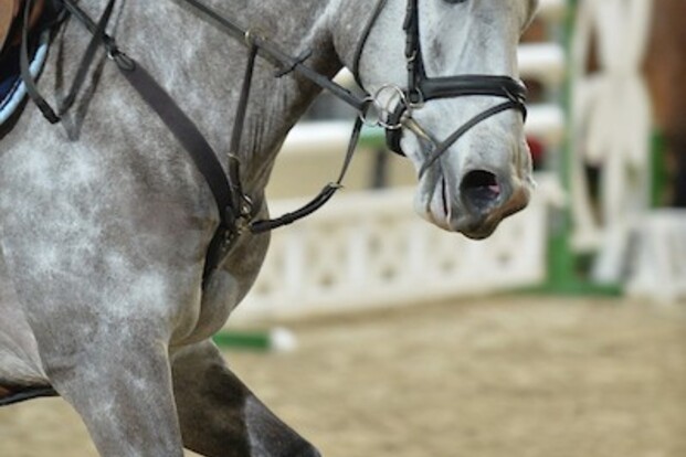 JM 18: Remy Baert wint ponyfinale 80cm!