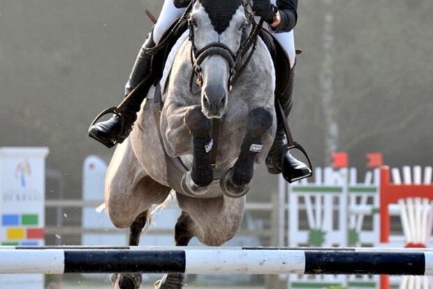 Leonie Peeters 2de in finale CSI*** 1m35