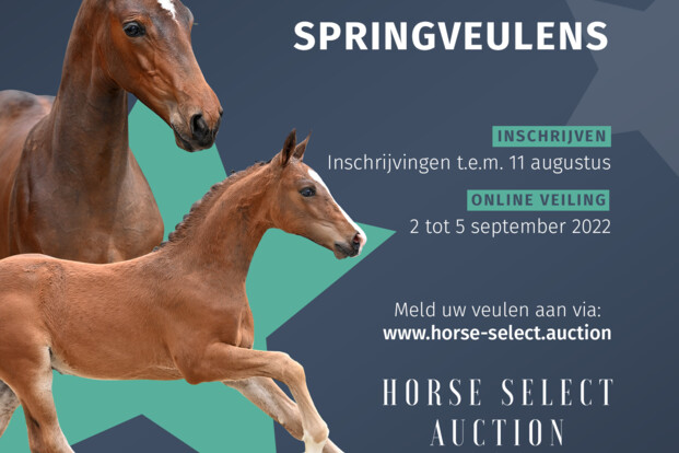 Inschrijvingen Horse Select Auction staan open!