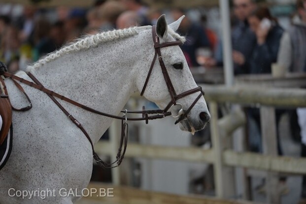 JM18: Rik Nauta wint IM Ponies 1m