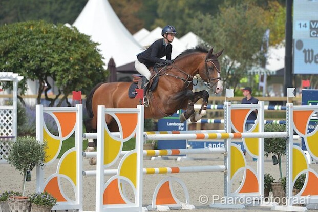 CSI1* Kronenb.: Van Duppen wint slotrubriek CSI1* Kronenb.: Van Duppen wint slotrubriek