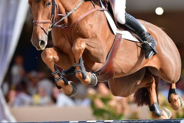 Pieter Clemens 2de in de CSI2* GP Kronenberg