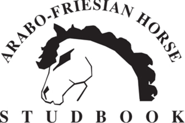Assen, wedstrijd voor Arabo-Friezen - 30 maart