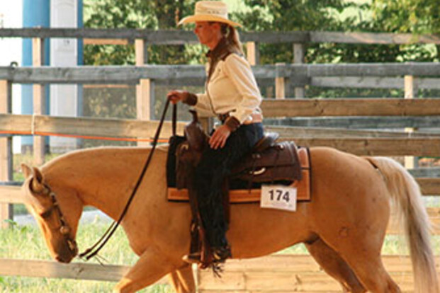 Plezier tijdens Flanders Horse Expo