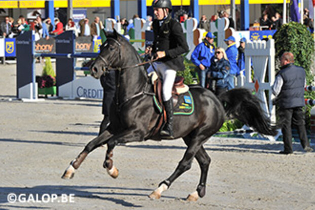 Hunters Scendro (Hunters Scendix-Contendro) nu ook gekeurd voor Hannover