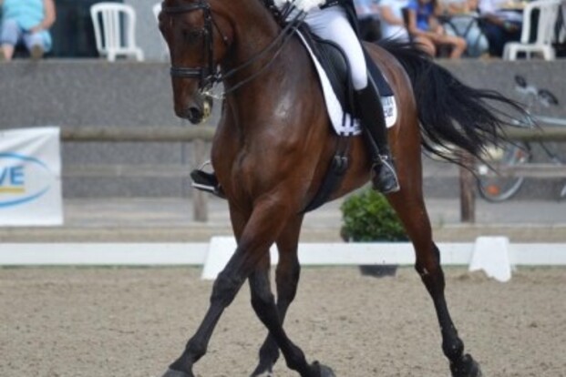 Devroe en Verwimp na GP naar WB