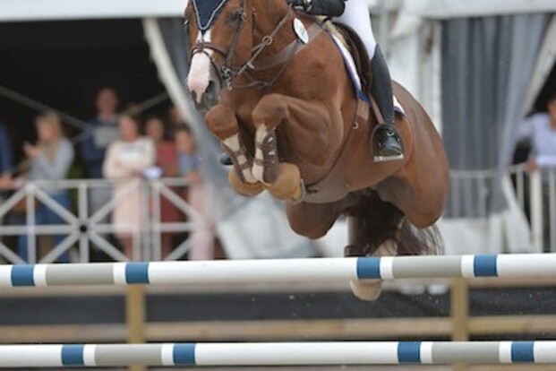 CSI2* Praag: Ook Verberckmoes in de prijzen!