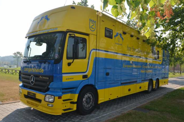 Jonge Z-hengst breekt los op A73 Jonge Z-hengst breekt los op A73