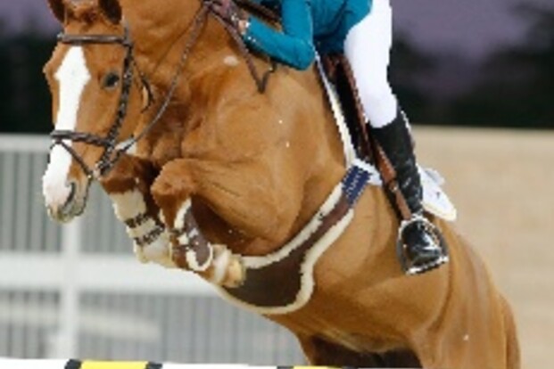 Diniz wint GCT-finale en eindklassement