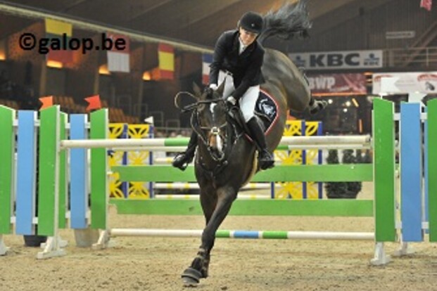 Okidoki van t Gelutt wint hengstenproef 7-jarigen