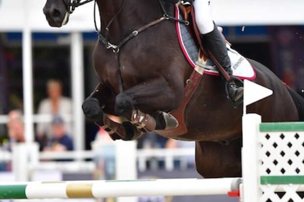 Internationale selecties