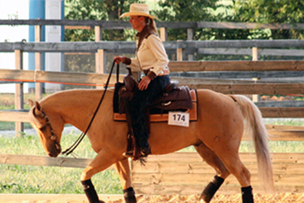 Anky op Flanders Horse Expo 2013!