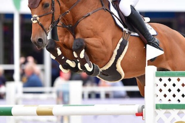 CSI2* Lichtenv: Vanderhasselt scoort opnieuw