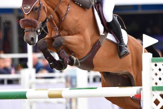 CSI5* Parijs: Vincent Lambrecht wordt 7de!
