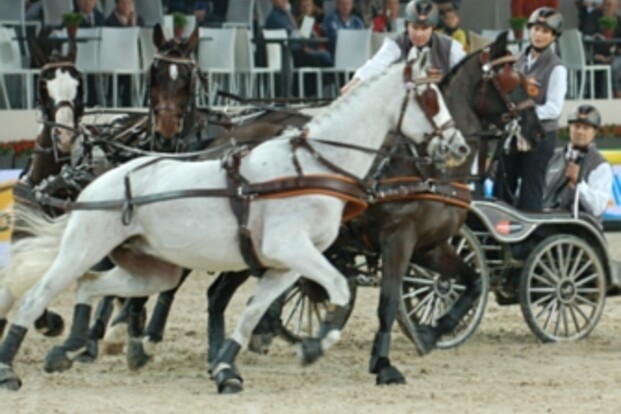 Mechelen, Koos de Ronde wint warm up - update