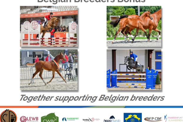 Belgian Breeder’s Bonus