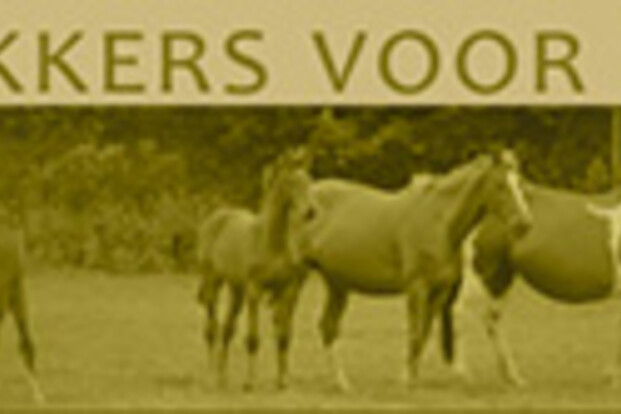 Cataloog DFVF 2013 in druk