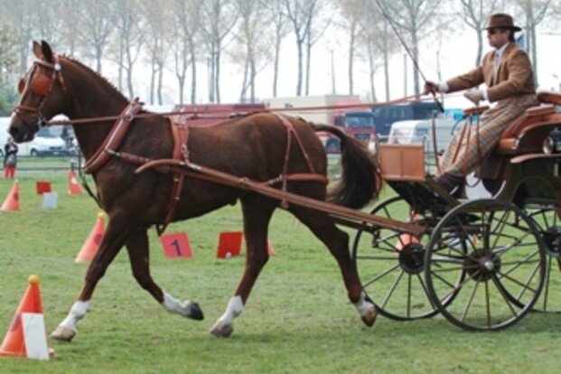 Oudenaarde - infodag opstart mencursus - 4 januari