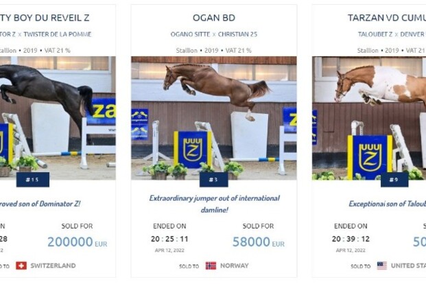 Veilingtopper van €200.000 op Zangersheide!
