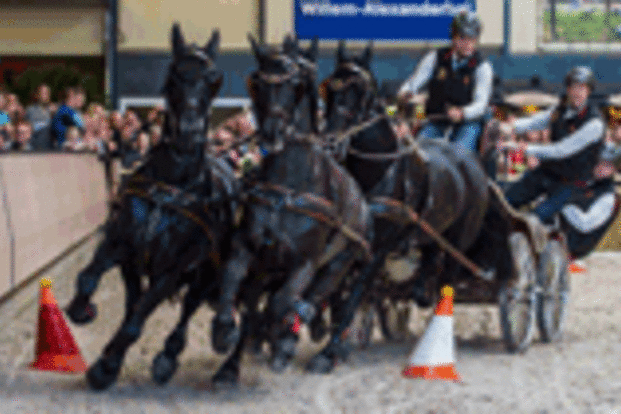 Wie gaat er gratis naar Paard & Koets