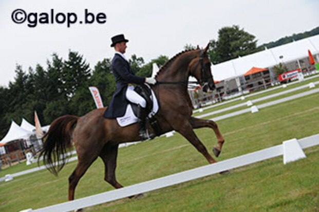 Eventer Raf Kooremans koopt dressuurpaard