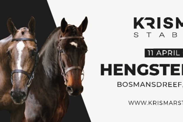 Hengstenshow Krismar verzet naar maandag