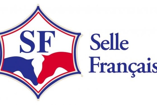 SF maakt volbloedzoon kampioen SF maakt volbloedzoon kampioen