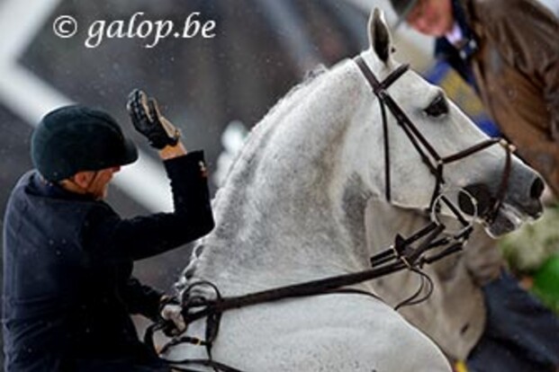 Dirk Demeersman wint in Polen