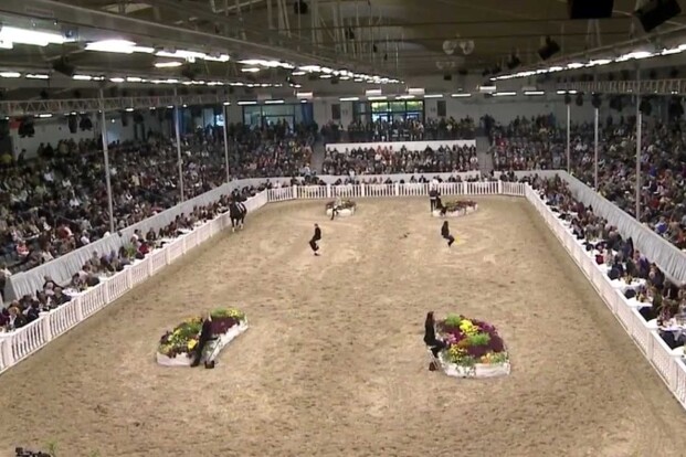 1,2 Miljoen euro voor dressuurhengst 1,2 Miljoen euro voor dressuurhengst