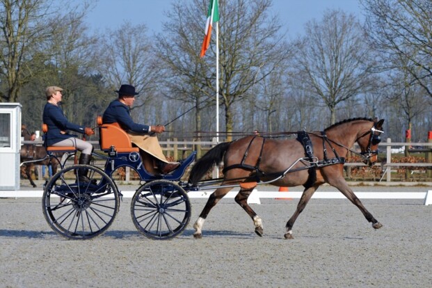 Mooie Belgische resultaten in Exloo
