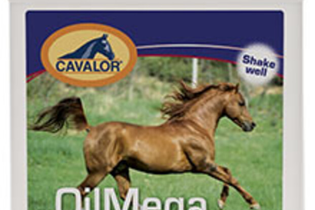 Cavalor OilMega, not just another oil