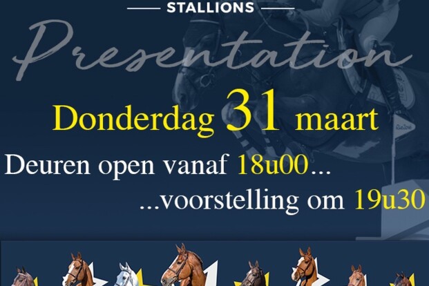 Hengstenshow op 31/03 bij Eurohorse!