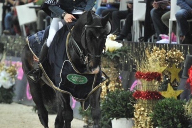 Zoon Qlassic BoisMargot SF-kampioen 2-jarige Zoon Qlassic BoisMargot SF-kampioen 2-jarige