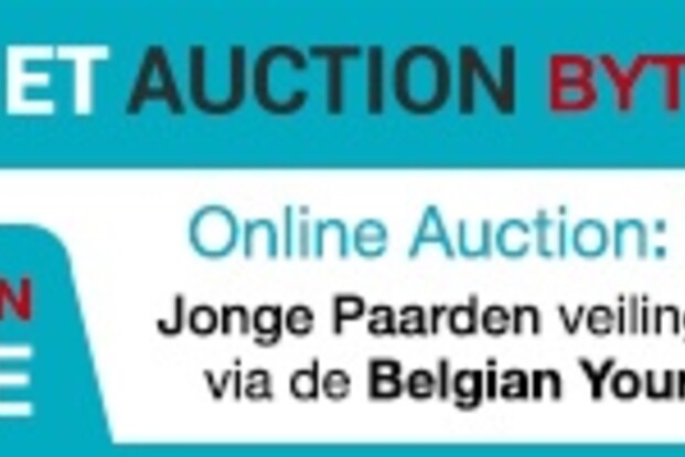Belgian Youngster Trials Auction van start! Belgian Youngster Trials Auction van start!