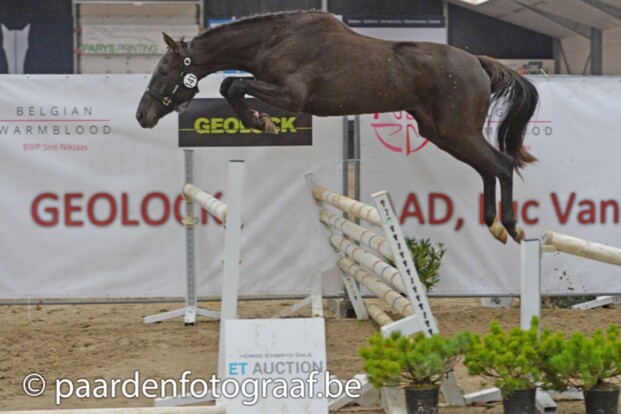 Belgian Youngster Trials breekt alle records