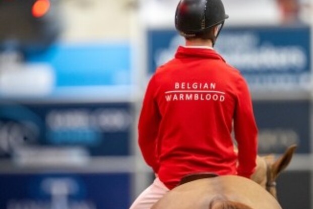 De nieuwe BWP-gekeurde hengsten zijn bekend De nieuwe BWP-gekeurde hengsten zijn bekend