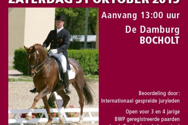 Aanlegtest jonge dressuurpaarden - Bocholt Aanlegtest jonge dressuurpaarden - Bocholt