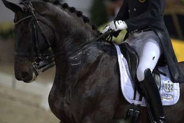 69,105% voor Domien Michiels in WB