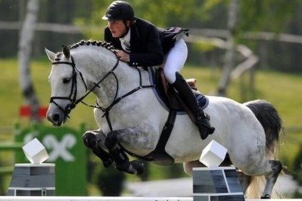 Hengstenshow Stoeterij Breemeersen op 27/3