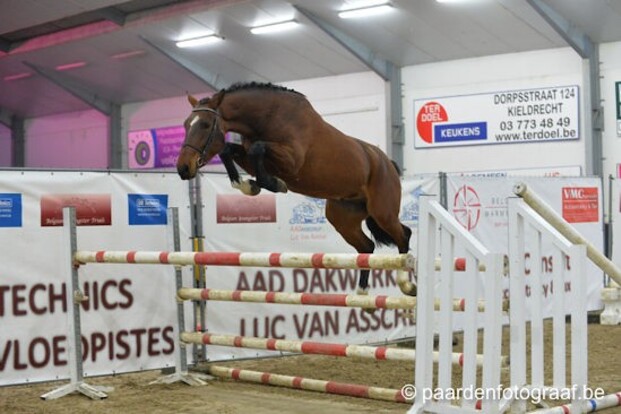 232 inschrijvingen Belgian Youngster Trials