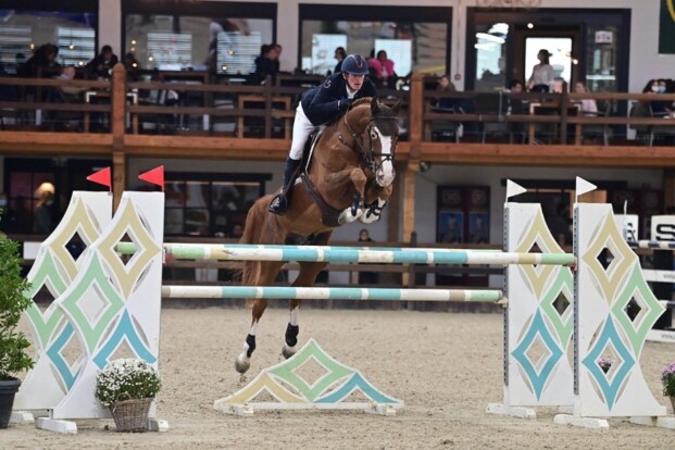 Embryo veilingtopper Horseman Auction